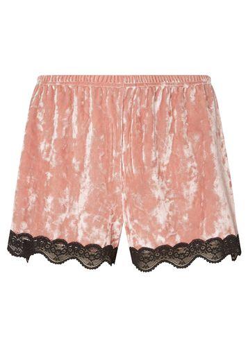 Dorothy Perkins Blush Velvet Shorts