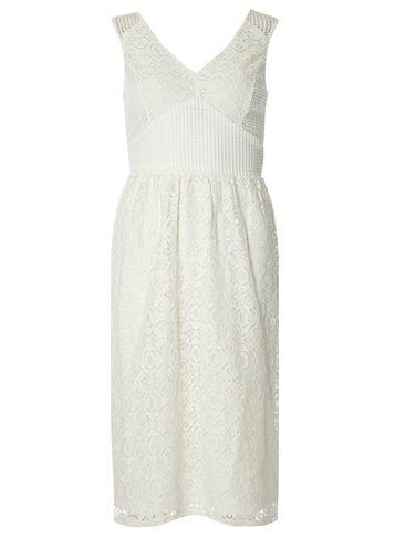 Dorothy Perkins Lace Fit And Flare Dress