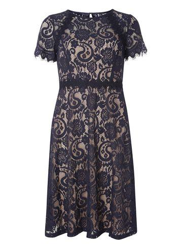 Dorothy Perkins Navy Scallop Lace Midi Dress