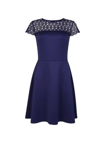 Dorothy Perkins Navy Lace Skater Dress