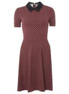 Dorothy Perkins *tall Berry Mini Collar Dress