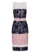 Dorothy Perkins *paper Dolls Cream And Navy Lace Pencil Dress