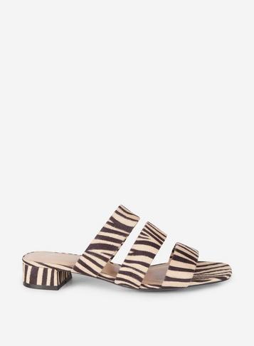 Dorothy Perkins Multi Coloured Zebra Print Stormy Multi Strap Mules