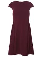 Dorothy Perkins Burgundy Seamed Fit And Flare Dress