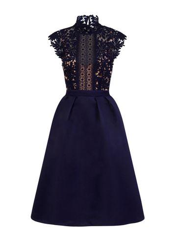 Dorothy Perkins *little Mistress Navy Lace Midi Skater Dress
