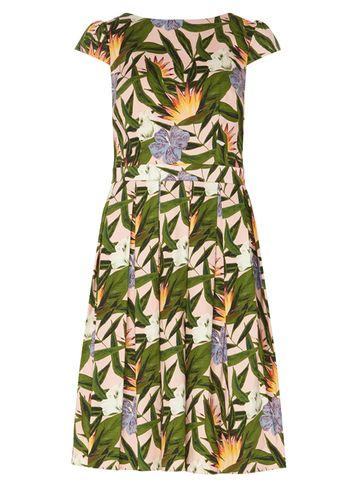 Dorothy Perkins *tall Tropical Print Fit & Flare Dress