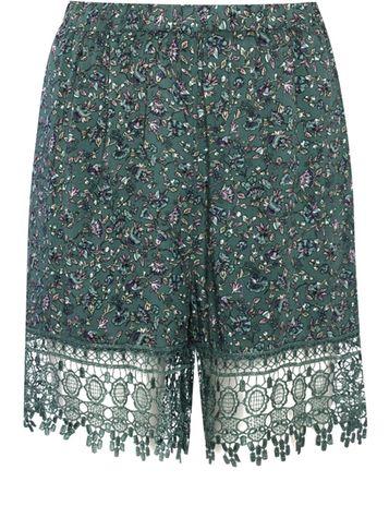 Dorothy Perkins *alice & You Green Printed Shorts