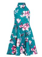 *quiz Green Floral Print High Neck Skater Dress