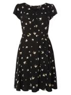 Dorothy Perkins *billie & Blossom Curve Black Swallow Dress
