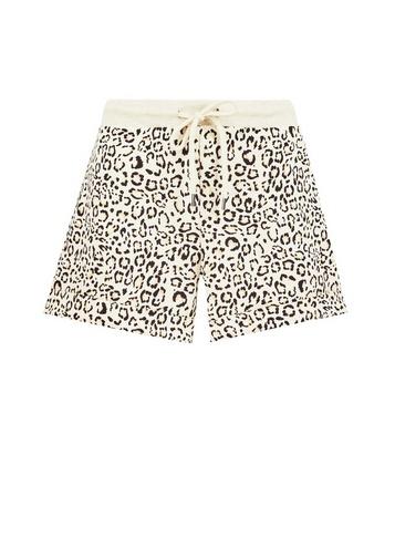 Dorothy Perkins Multicolour Animal Print Loop Back Shorts