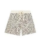 Dorothy Perkins Multicolour Animal Print Loop Back Shorts