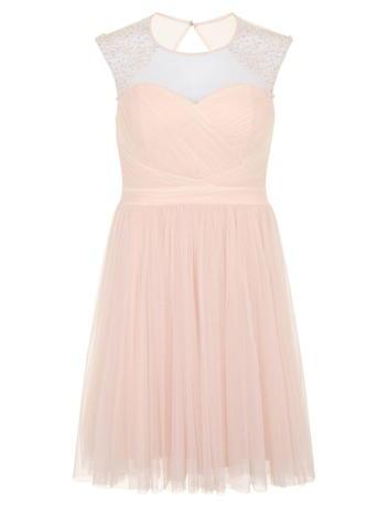 Dorothy Perkins *little Mistress Curve Embellished Sheer Midi Dress