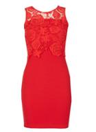 Dorothy Perkins *tenki Red Lace Bodycon Dress