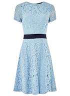 Dorothy Perkins Light Blue Colour Block Lace Skater Dress