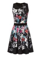Dorothy Perkins *little Mistress Fit And Flare Dress