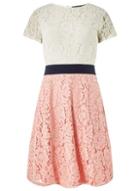 Dorothy Perkins Blush And Ivory Colour Block Lace Skater Dress