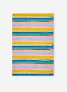 Dorothy Perkins Multi Colour Silky Plisse Stripe Print Scarf