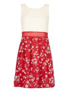 Dorothy Perkins *tenki Red Floral Two Tone Skater Skirt