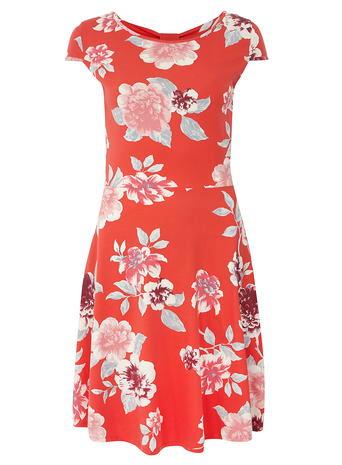 Dorothy Perkins Tall Watermelon Floral Dress
