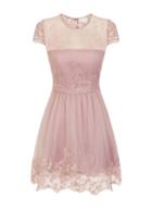 *chi Chi London Petite Mink Embroidered Skater Dress