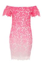 Dorothy Perkins *quiz Pink Crochet Bardot Bodycon Dress