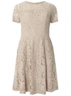 Dorothy Perkins Taupe Lace Fit And Flare Dress