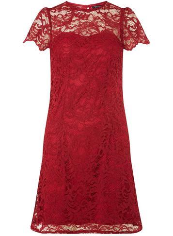 Dorothy Perkins Berry Red Lace Short Sleeve Shift Dress