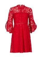 Dorothy Perkins *blue Vanilla Red Frill Sleeve Lace Skater Dress