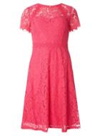 Dorothy Perkins Pink Scallop Lace Midi Dress