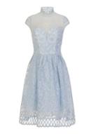 Dorothy Perkins *chi Chi London Blue Lace Skater Dress