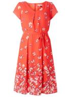 Dorothy Perkins *billie & Blossom Red Butterfly Print Dress