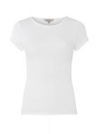 Dorothy Perkins Petite White Crew Neck T-shirt