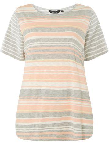 Dorothy Perkins Dp Curve Multi Coloured Stripe T-shirt