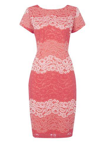 Dorothy Perkins *roman Originals Coral Stripe Lace Dress