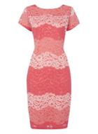Dorothy Perkins *roman Originals Coral Stripe Lace Dress