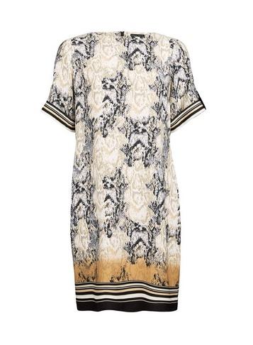 Dorothy Perkins Multi Colour Snake Print Shift Dress