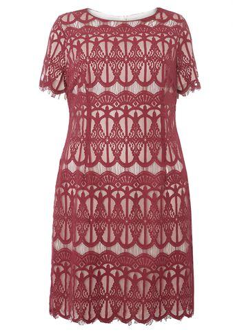 Dorothy Perkins Dp Curve Berry And Cream Lace Pencil Dress