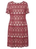 Dorothy Perkins Dp Curve Berry And Cream Lace Pencil Dress