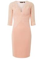Dorothy Perkins *blush Lace Top Bodycon Dress