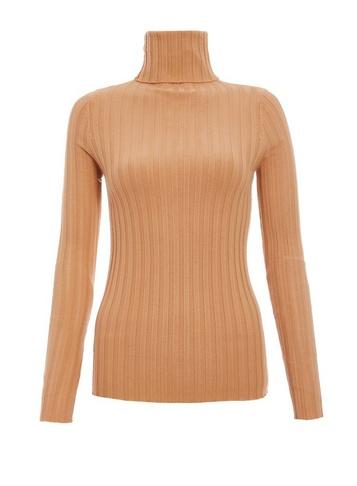 *quiz Camel Ribbed Turtle Neck Top
