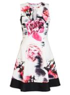 Dorothy Perkins *quiz Multi Colour Floral Flippy Dress