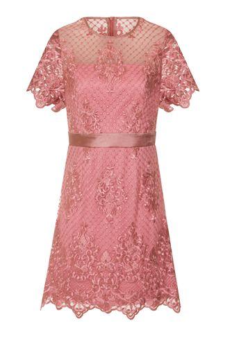 Dorothy Perkins *girls On Film Dusky Pink Lace Shift Dress