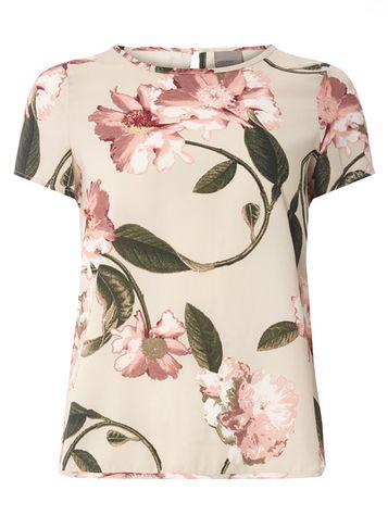 Dorothy Perkins *vero Moda Multi Coloured Short Sleeve Top