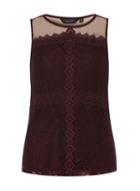 Dorothy Perkins Aubergine Lace Shell Top