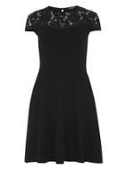 Dorothy Perkins *tall Black Lace Yoke Dress