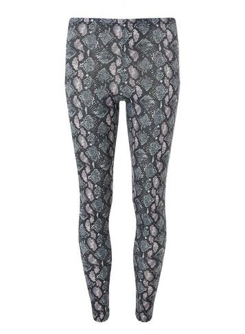 Dorothy Perkins Multi Colour Snake Print Leggings