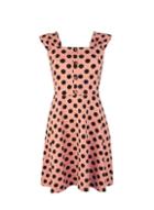 Dorothy Perkins Tan Spot Print Ruched Fit And Flare Dress