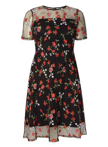 Dorothy Perkins Floral Embroidered Fit And Flare Dress