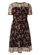 Dorothy Perkins Floral Embroidered Fit And Flare Dress