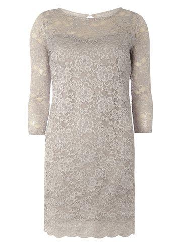 Dorothy Perkins *billie & Blossom Lace A-line Dress